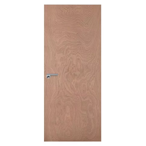 Plywood Flush Door